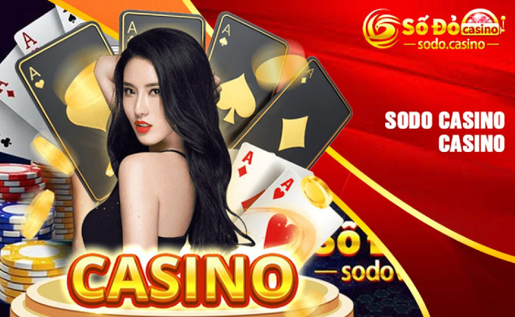 Sơ lược về thương hiệu SODO