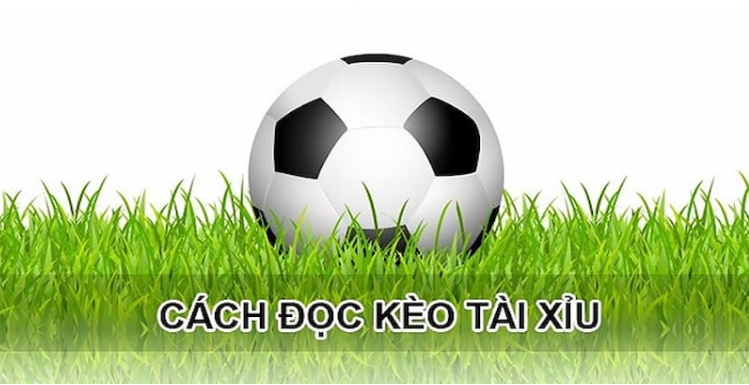 Cách đọc kèo tài xỉu bàn thắng tại go99 vô cùng đơn giản