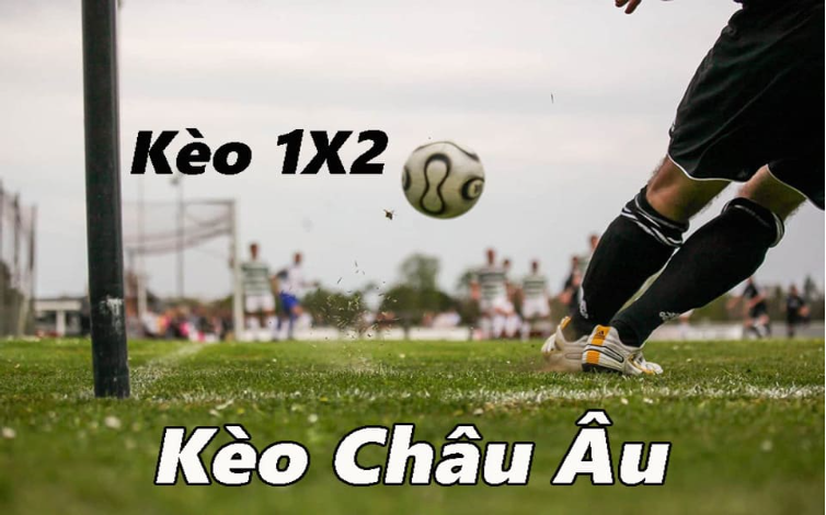 Kèo châu Âu khá đơn giản nên được nhiều tân thủ chọn