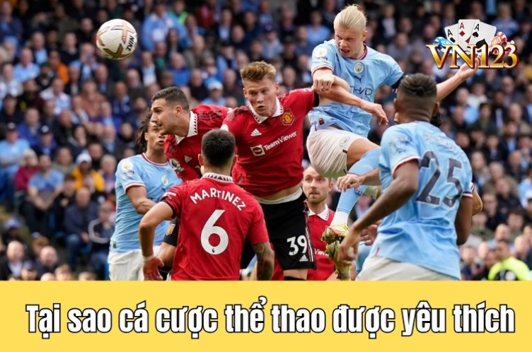 Những lý do khiến cá cược thể thao được yêu thích nhất hiện nay Những lý do khiến cá cược thể thao được yêu thích nhất hiện nay